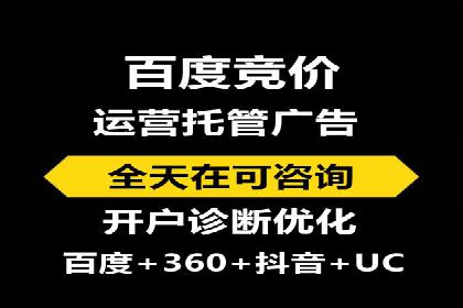 SEM服务托管：提升广告效果的成功案例解析